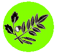 KCG_circular_logo