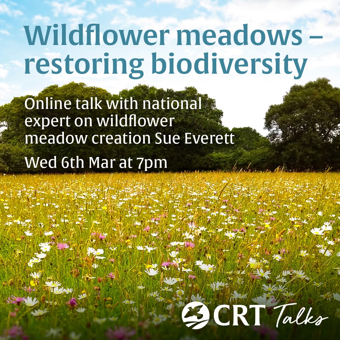 Wildflower Meadows - Restoring Biodiversity