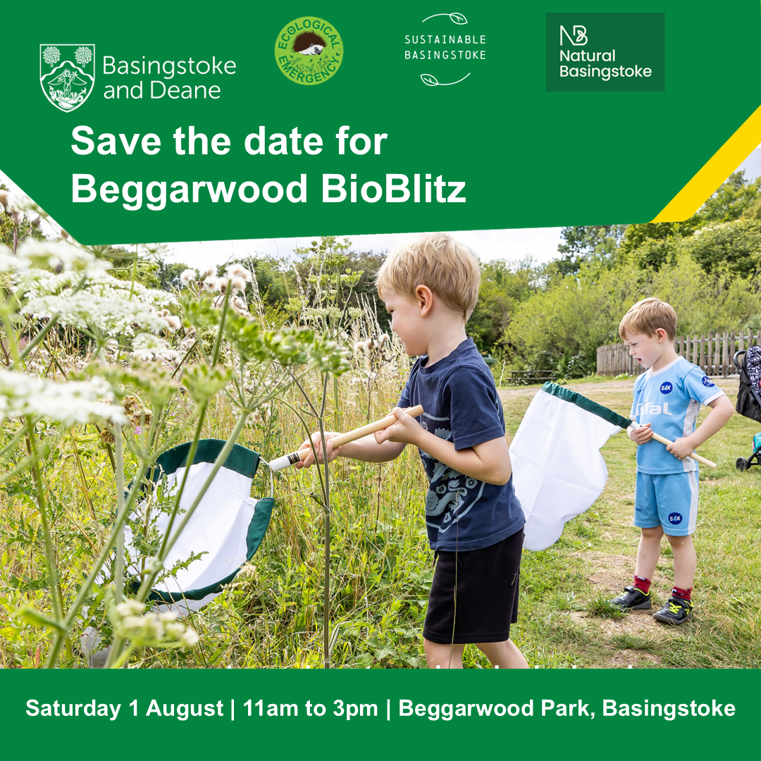BioBlitz 2026